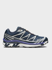 XT-6 Gore-Tex Carbon Vanilla Ice Liberty